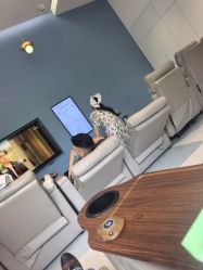 -Dr.U博士医疗美容医院