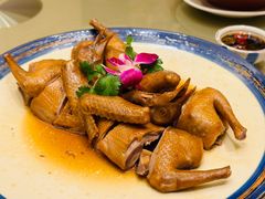 话梅乳鸽-沙龙酒家