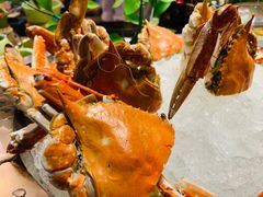 -西村日本料理(香格里拉饭店)