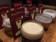 -Boxing Cat Brewery拳击猫精酿啤酒馆(永福店)