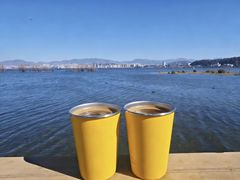 -洱海月湿地公园