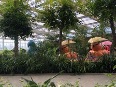 -南宫五洲植物乐园