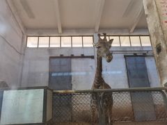 -石家庄市动物园