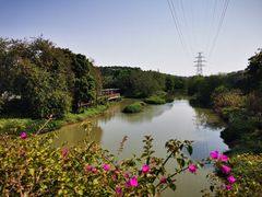 -广东花都湖国家湿地公园