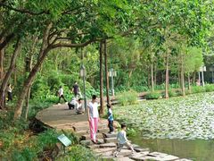 -顺峰山公园