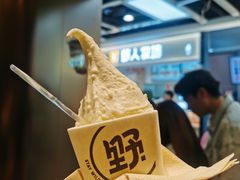 -野人先生现做冰淇淋(西安赛格店)