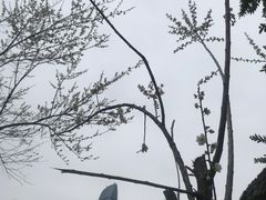 -荔枝公园(福田区)