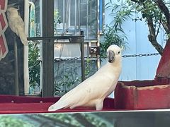 -竹泉村旅游度假区