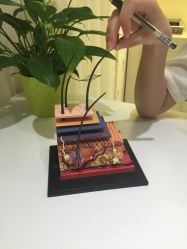 -咪咪比基尼脱毛专业店