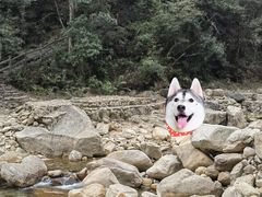 -姑婆山旅游区