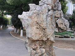 -汉水公园