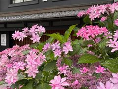 -京都御所