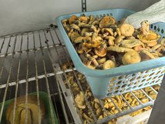 -双喜农庄·菌香园(安居家园店)