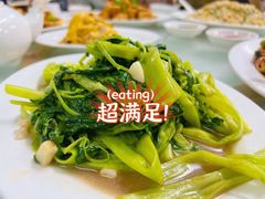 -新陶陶酒家
