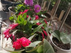 -复兴门(地铁站)