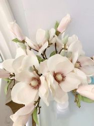 -MIVI野生眉纹绣纹眉