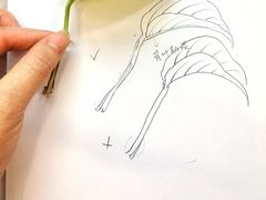 -八哥美术·成人美术画室(总校区)