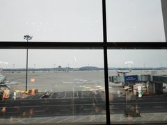 -郑州新郑国际机场-T2航站楼
