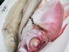 -吴记富苑(朝阳店)