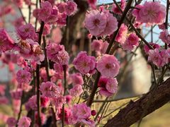 -云水涧亲子度假酒店