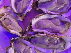 -千岛蚝高压锅生蚝·人参火锅(白云万达店)