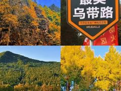 -汤旺河林海奇石景区