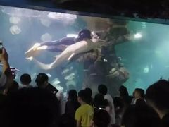 -无锡动物园·太湖欢乐园