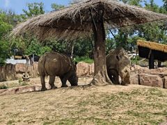 -武汉动物园