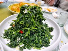 凉拌灰灰菜-蓝田印象