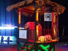 -北戴河碧螺塔海上酒吧公园