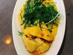 葱油嫩鸡-熠盛粤味(永康路店)