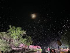 -常德桃花源景区