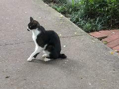 -晓港公园