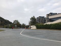 -飞凤山奥体公园