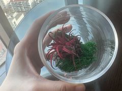 -天津君隆威斯汀酒店