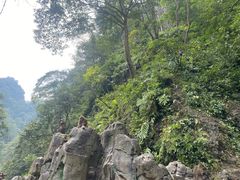 -峨眉山风景名胜区