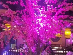 -今朝桃花醉川菜小酒馆(龙湖天街店)
