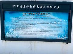 -广东惠东海龟国家级自然保护区