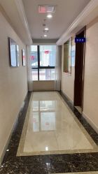 -碧莲盛·不剃发植发