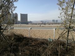 -蒙古大营·蒙古演绎餐厅(赛马场店)
