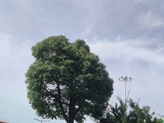 -苏州湾梦幻水世界