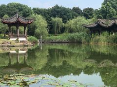-日出青木·杭帮菜名店