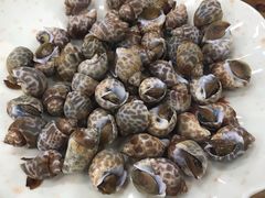 白灼花螺-南记食粥坊·宵夜大排档(岭南分店)