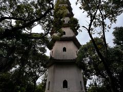 -江心屿景区