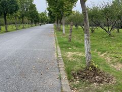 -上海海湾国家森林公园