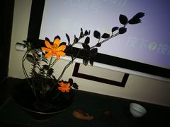 -白鹭原茶艺馆