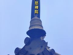 -天津大悲禅院