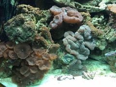 -北戴河圣蓝海洋公园