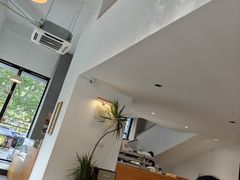 -猫里有甜