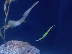 -上海海洋水族馆